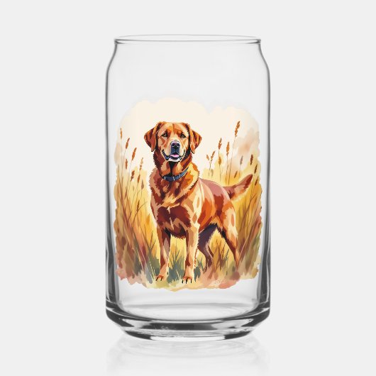 Labrador Retriever Chien Rouge Renard (Recto)
