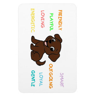 Labrador Retriever Chocolade Cartoon Kenmerken Magneet