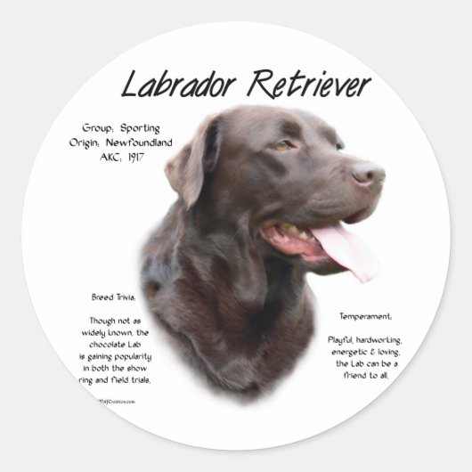 Labrador Retriever (chocolade) Geschiedenis Ontwer Ronde Sticker (Voorkant)