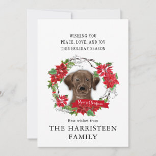 Labrador Retriever chocolade Poinsettia Kerstmis Feestdagenkaart