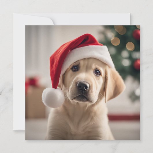 Labrador Retriever Christmas (Voorkant)