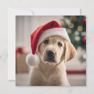 Labrador Retriever Christmas