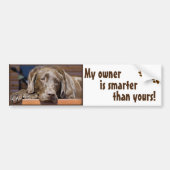 Labrador Retriever Dog Foto Funny Sjabloon Bumpersticker (Voorkant)