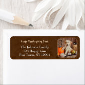 Labrador Retriever Dog & Pumpkins Brown Etiket (Insitu)