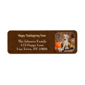 Labrador Retriever Dog & Pumpkins Brown Etiket (Voorkant)