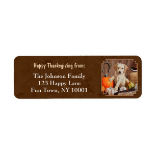 Labrador Retriever Dog & Pumpkins Brown Etiket