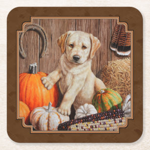 Labrador Retriever Dog & Pumpkins Brown Vierkante Kartonnen Onderzetter