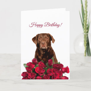 Labrador Retriever Dog Rozen Happy Birthday Kaart
