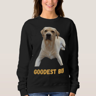 Labrador Retriever Dog Schattige Dog Good Boi Good Trui