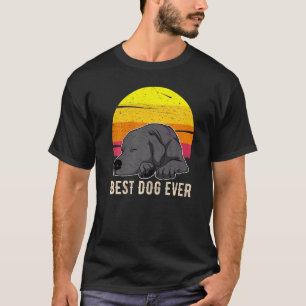 Labrador Retriever Dog Sunset 57 T-shirt