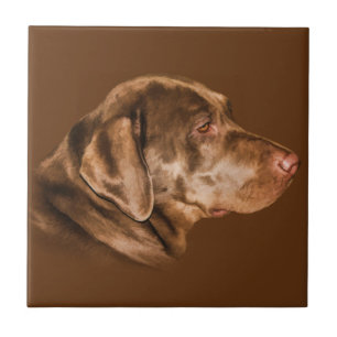 Labrador Retriever Dog, Tile,  Tegeltje