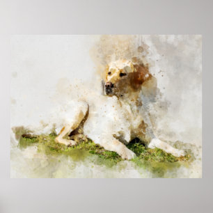 Labrador Retriever Dog Waterverf Portret 03 Poster