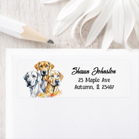 Labrador Retriever Dogs Etiket (Insitu)