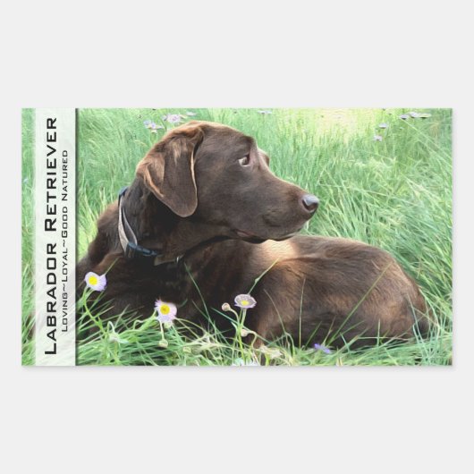 Labrador Retriever en paarse bloemen Rechthoekige Sticker (Voorkant)