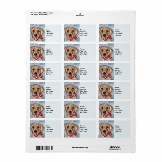 Labrador Retriever Etiket (Full Sheet)