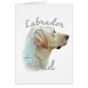 Labrador Retriever (geel) Pap 2