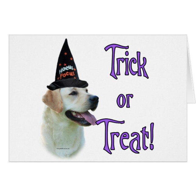 Labrador Retriever (geel) Trick (Voorkant Horizontaal)