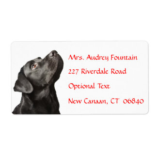 Labrador Retriever Gepersonaliseerde Naam Adres La Etiket
