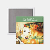 Labrador Retriever Get Well Magnet (Recto/Verso)
