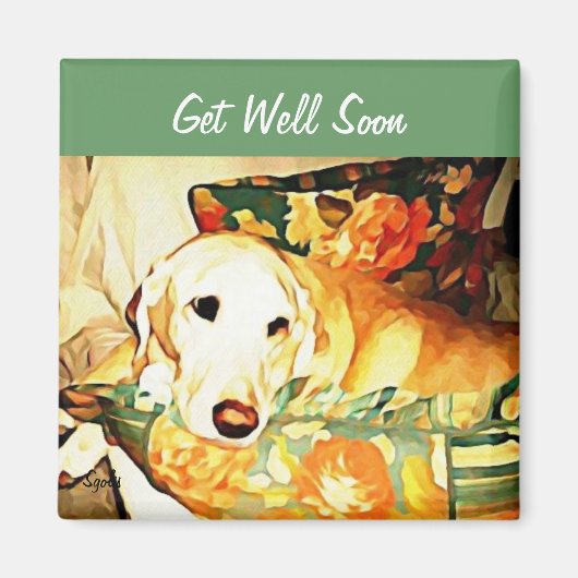 Labrador Retriever Get Well Magnet (Devant)