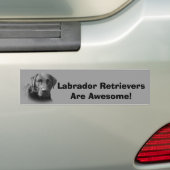 Labrador Retriever Geweldige Bumpersticker (Op auto)