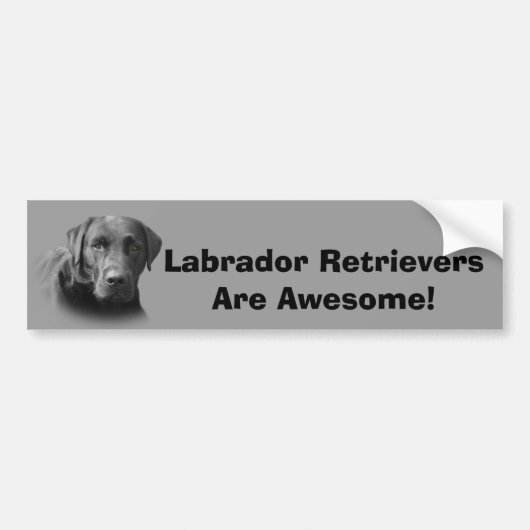 Labrador Retriever Geweldige Bumpersticker (Voorkant)