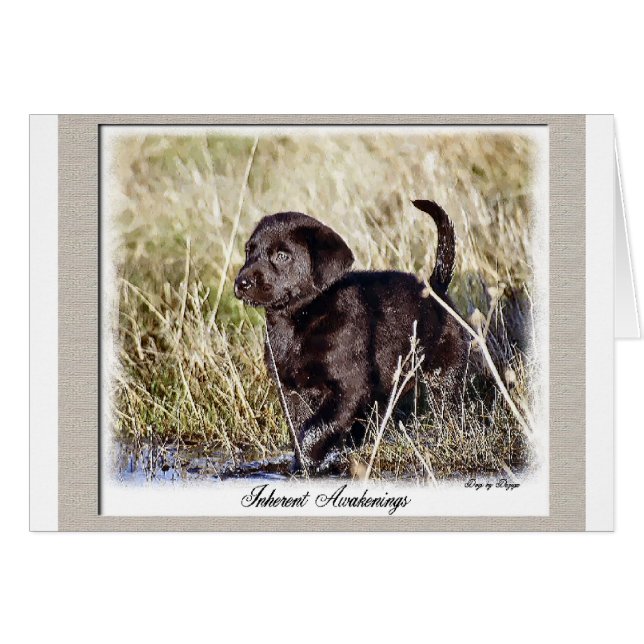 Labrador Retriever Gifts (Voorkant Horizontaal)