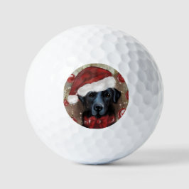 Labrador Retriever  Golfballen