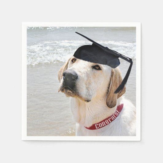 Labrador Retriever Graduate With Cap Servet (Voorkant)