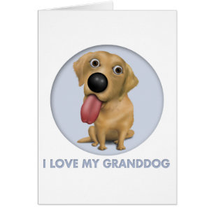 Labrador retriever Granddog (jaune)
