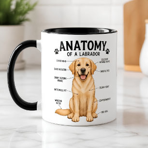 Labrador Retriever Grappig Anatomisch Diagram Mok