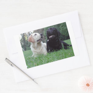 labrador retriever groep rechthoekige sticker