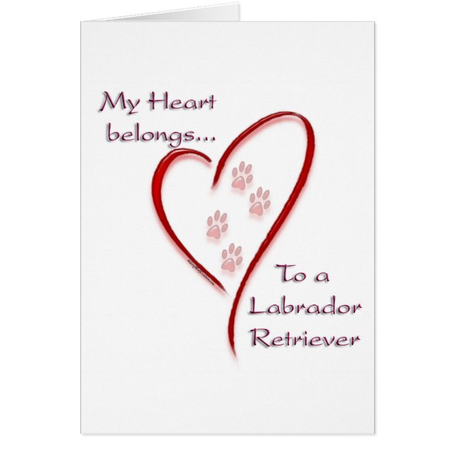 Labrador Retriever Heart Belongs (Devant)