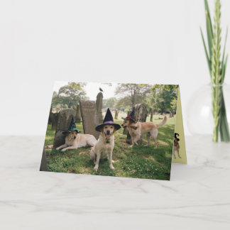 Labrador Retriever Heks Halloween Kaart
