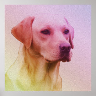 Labrador Retriever Hond Aquarel Portret 01 Poster