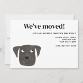 Labrador Retriever Hond Nieuwe Adres Aankondiging (Voorkant)