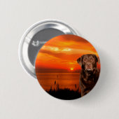 Labrador Retriever Hond Zittend naast zonsondergan Ronde Button 5,7 Cm (Voorkant /achterkant)