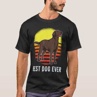 Labrador Retriever Hond Zonsondergang 34 T-shirt
