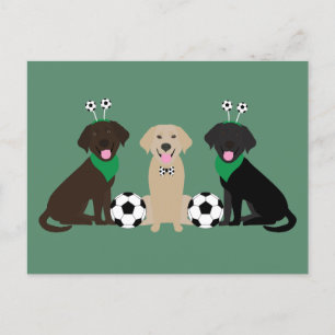 Labrador Retriever Honden Spelen Voetbal Briefkaart