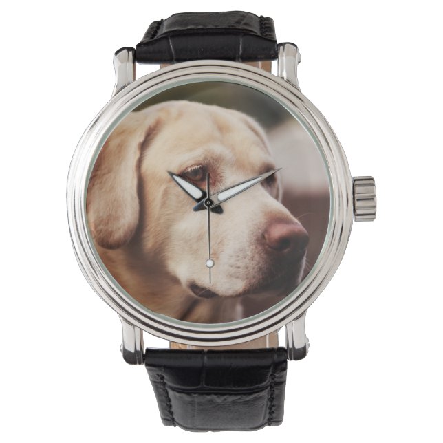 Labrador Retriever Horloge (Voorkant)