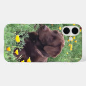 Labrador Retriever in Natuur close-up foto Case-Mate iPhone Case (Achterkant (horizontaal))
