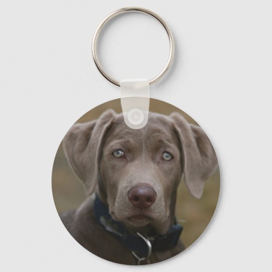 Labrador Retriever In Rare Light Silver Sleutelhanger (Voorkant)