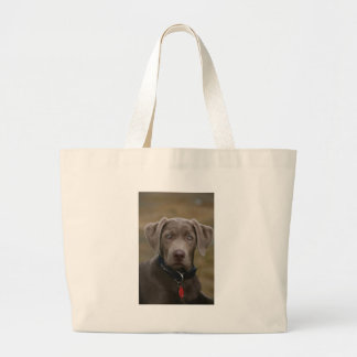 Labrador Retriever in zeldzame lichte zilver Grote Tote Bag
