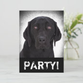 Labrador Retriever Kaart (Staand voorkant)