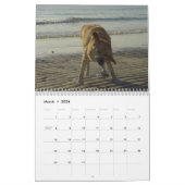 Labrador Retriever kalender 2010 (Mar 2026)