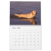Labrador Retriever kalender 2010 (Jan 2026)