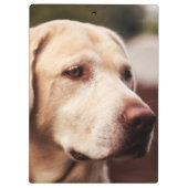 Labrador Retriever Klembord (Achterkant)