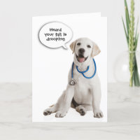 Labrador Retriever komt binnenkort goed
