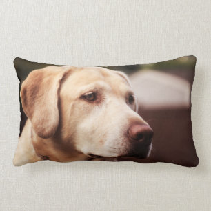 Labrador Retriever Kussen