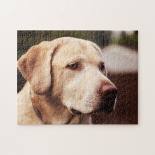 Labrador Retriever Legpuzzel